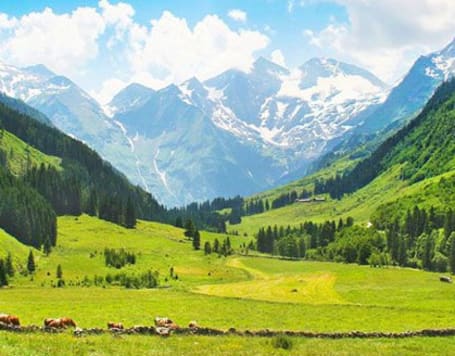 Aru Valley