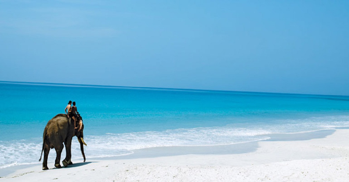 6 Day Andaman Honeymoon Tour Package with Romantic Beachside Stay Port Blair Itinerary Day 3