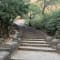 Rajmachi Trek and Kondane Caves: The ideal weekend getaway! review