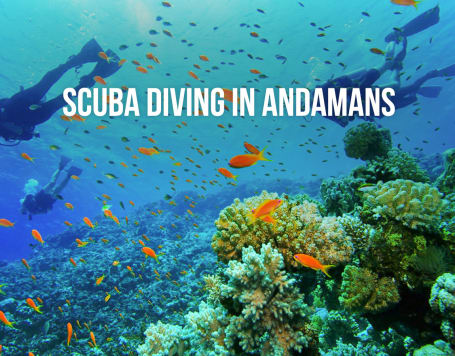 Scuba Diving In Andaman