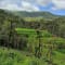 Netravati Trek, Chikmagalur review