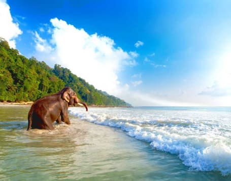 6 Day Andaman Honeymoon Tour Package with Romantic Beachside Stay Port Blair