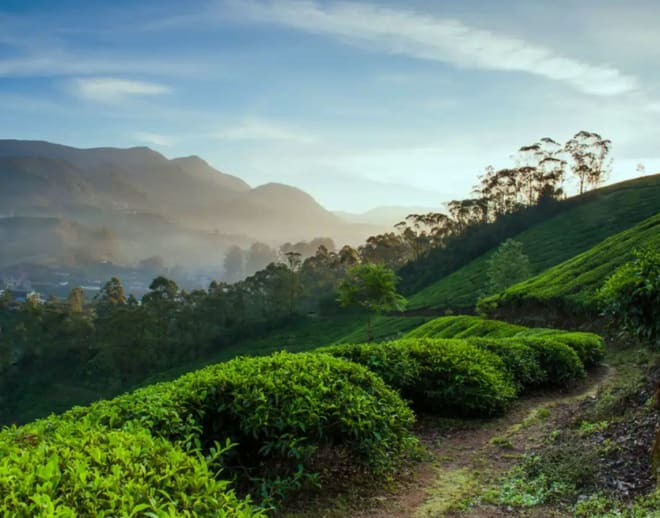 Munnar Tour Package From Bangalore Image