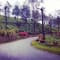 Munnar Tour Package From Bangalore review