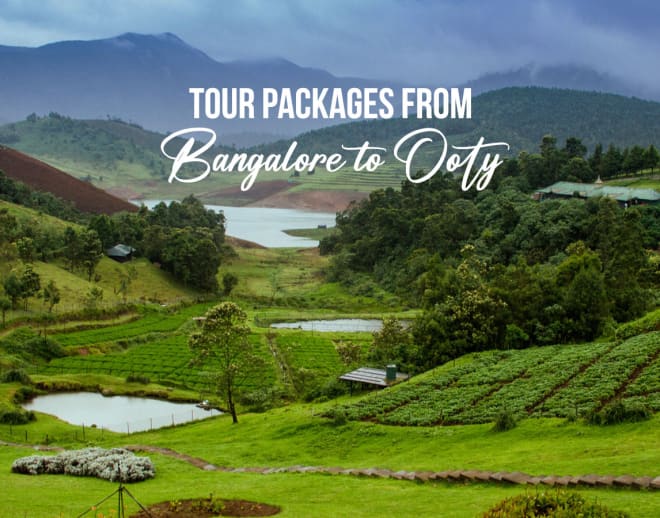 Ooty Tour Package from Bangalore Image
