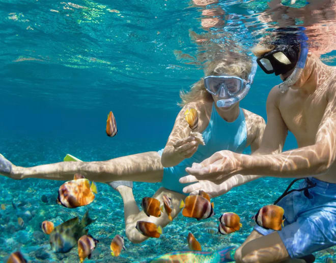 Snorkeling In Goa With Grand Island Trip Goa Image