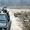 Jim Corbett Trip review