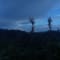 Netravati Trek, Chikmagalur review