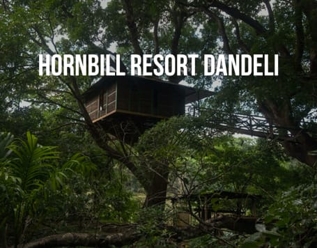 Hornbill Resort Dandeli