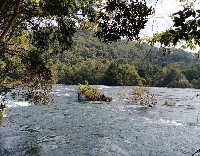 Dandeli Tour Package from Bangalore Image