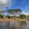 Bangalore to Coorg Tour Package review