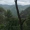 Bangalore to Wayanad Package review