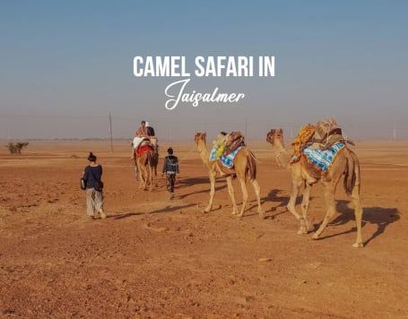 Camel Ride in Jaisalmer