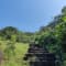 Rajmachi Trek and Kondane Caves: The ideal weekend getaway! review