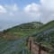 Kalsubai Peak Trek review