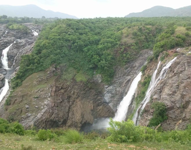Br Hills Tour Package From Bangalore Image
