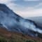 Chikmagalur Tour Package from Bangalore review
