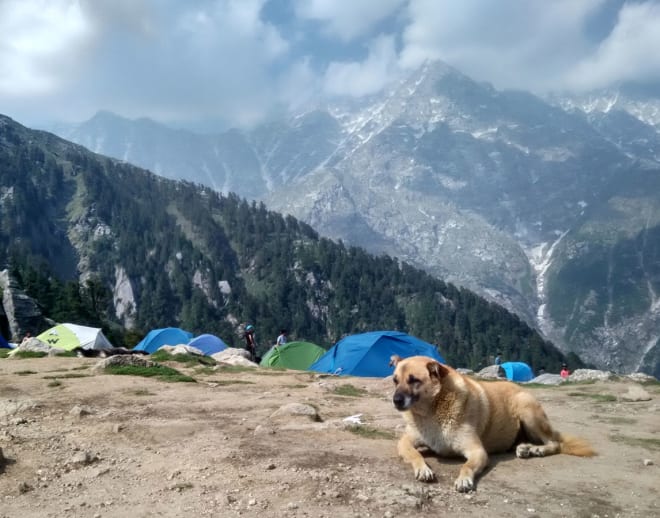 Triund Trek From Delhi with Mcleodganj Sightseeing Image