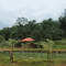 Dandeli Tour Package from Bangalore review