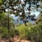 Kumara Parvatha Trek Package from Bangalore review