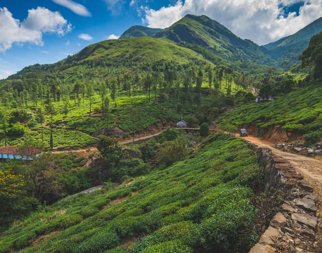 Bangalore to Coorg Tour Package Image