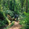 Kodachadri Trek Itinerary Day 2