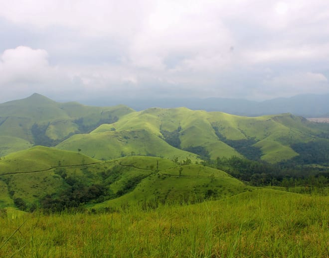 Chikmagalur Tour Package from Bangalore Image