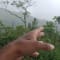 Netravati Trek, Chikmagalur review