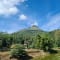 Chikmagalur Tour Package from Bangalore review