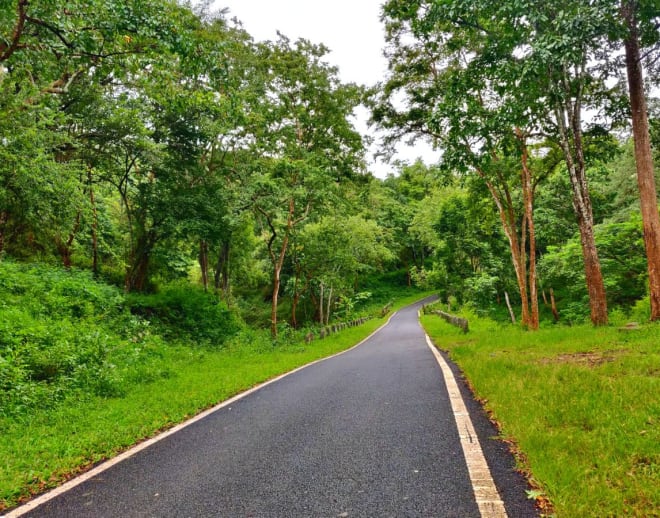 Br Hills Tour Package From Bangalore Image