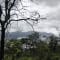 Netravati Trek, Chikmagalur review