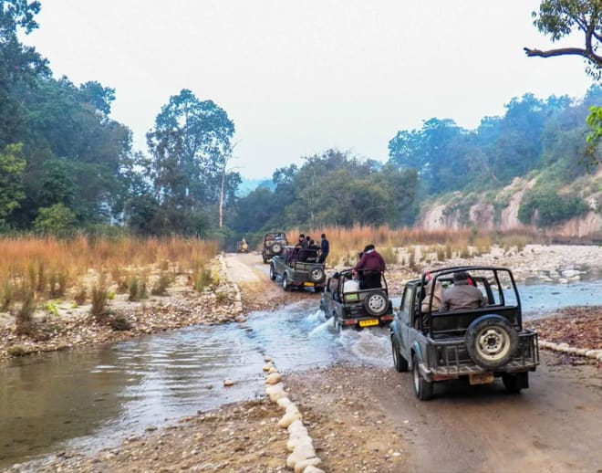 Jim Corbett Trip Image