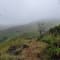 Netravati Trek, Chikmagalur review