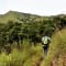 Netravati Trek, Chikmagalur review