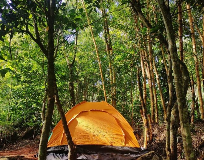 Wayanad Camping Image