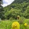Valley of Flowers Trek with Hemkund Sahib review