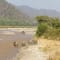 Jim Corbett Trip review