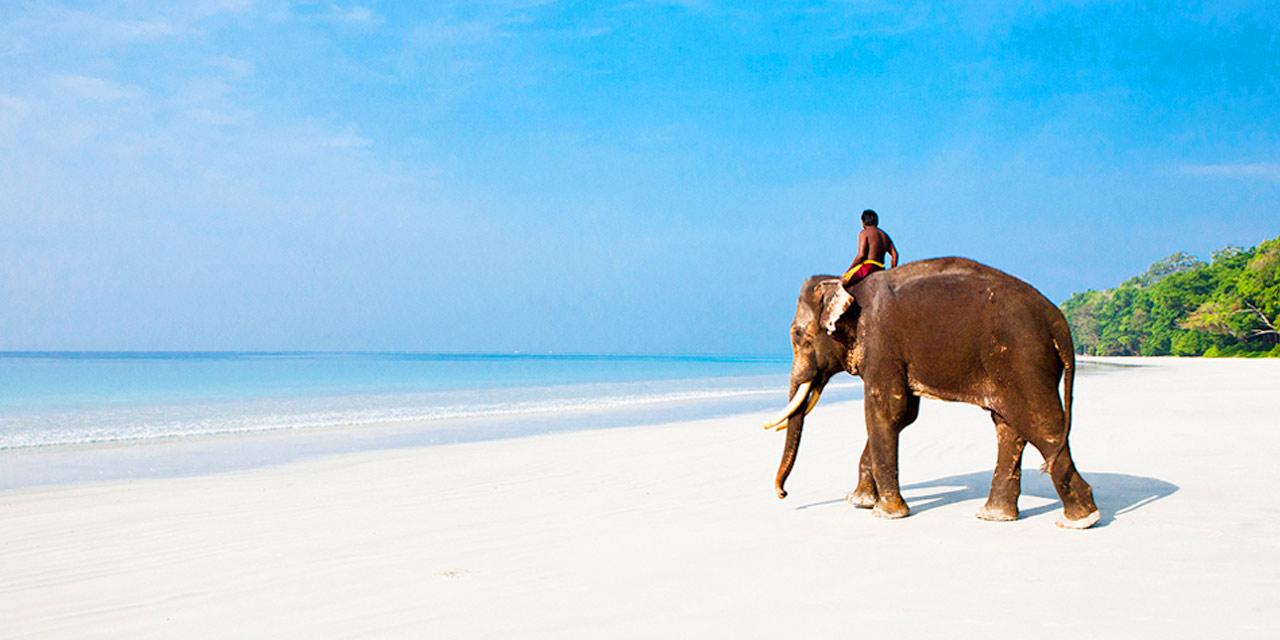 6 Day Andaman Honeymoon Tour Package with Romantic Beachside Stay Port Blair Itinerary Day 3