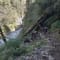 Har Ki Dun Trek With Camping review