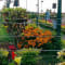 Bangalore to Coorg Tour Package review