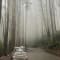 Ooty Tour Package from Bangalore review