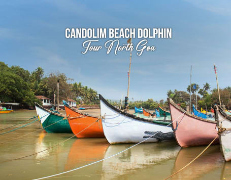 Candolim Beach Dolphin Tour North Goa