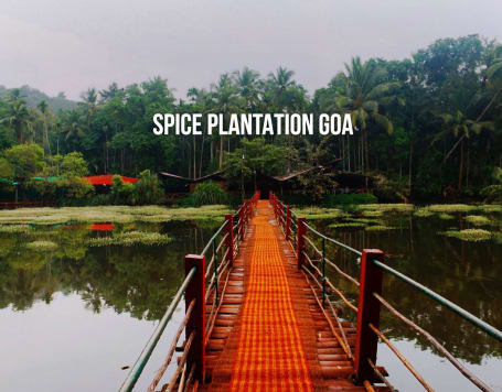 SPICE PLANTATION GOA