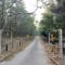 Jim Corbett Trip review