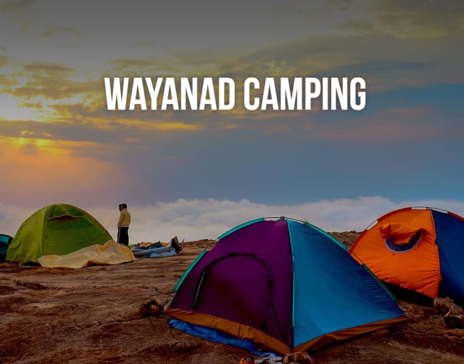 Wayanad Camping Image