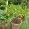 Munnar Tour Package From Bangalore review