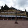 Triund Trek From Delhi with Mcleodganj Sightseeing Itinerary Day 2