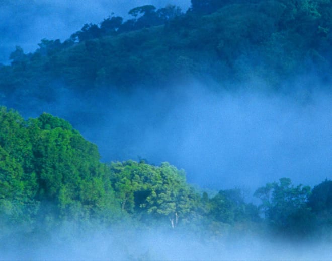 Thekkady Tour Package From Bangalore Image
