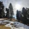 Dalhousie Winter Trek with Camping review