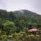 Jim Corbett Trip review